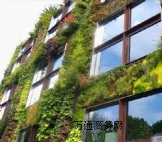 全自动立体绿化，墙体绿化设计，绿化墙施工
