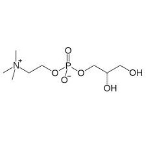 L-Α甘油磷酸(酰)胆碱；甘油磷酰胆碱；SN-甘油基-3-胆碱磷酸