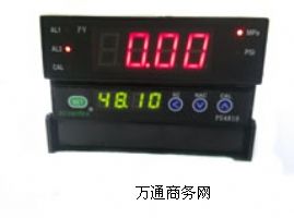 PS4812/PS4812T智能数字压力显示表